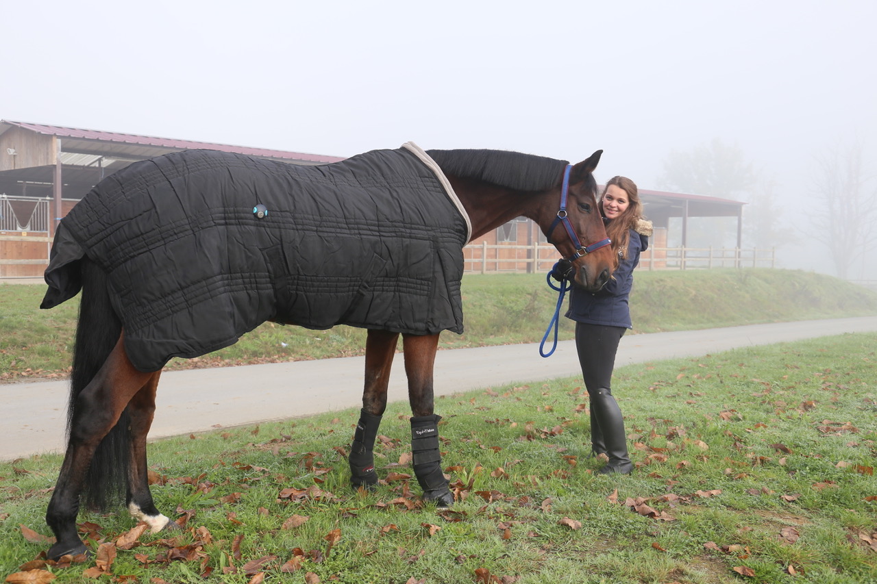 Comment Le Capteur Orscana Influence T Il Le Moral Des Chevaux