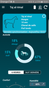 1-169x300 chevaux stressés