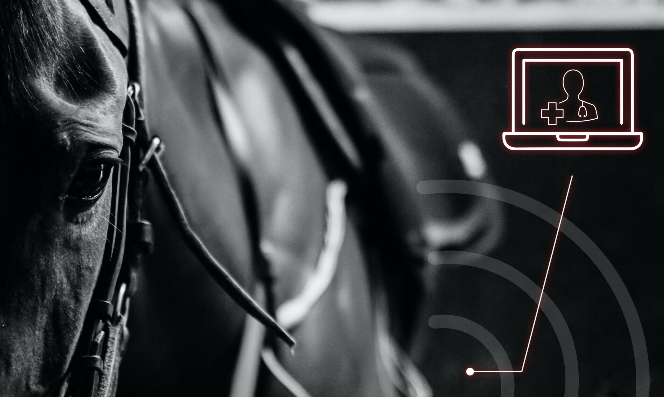 Investiguer la contre-performance cheval course vétérinaire performance