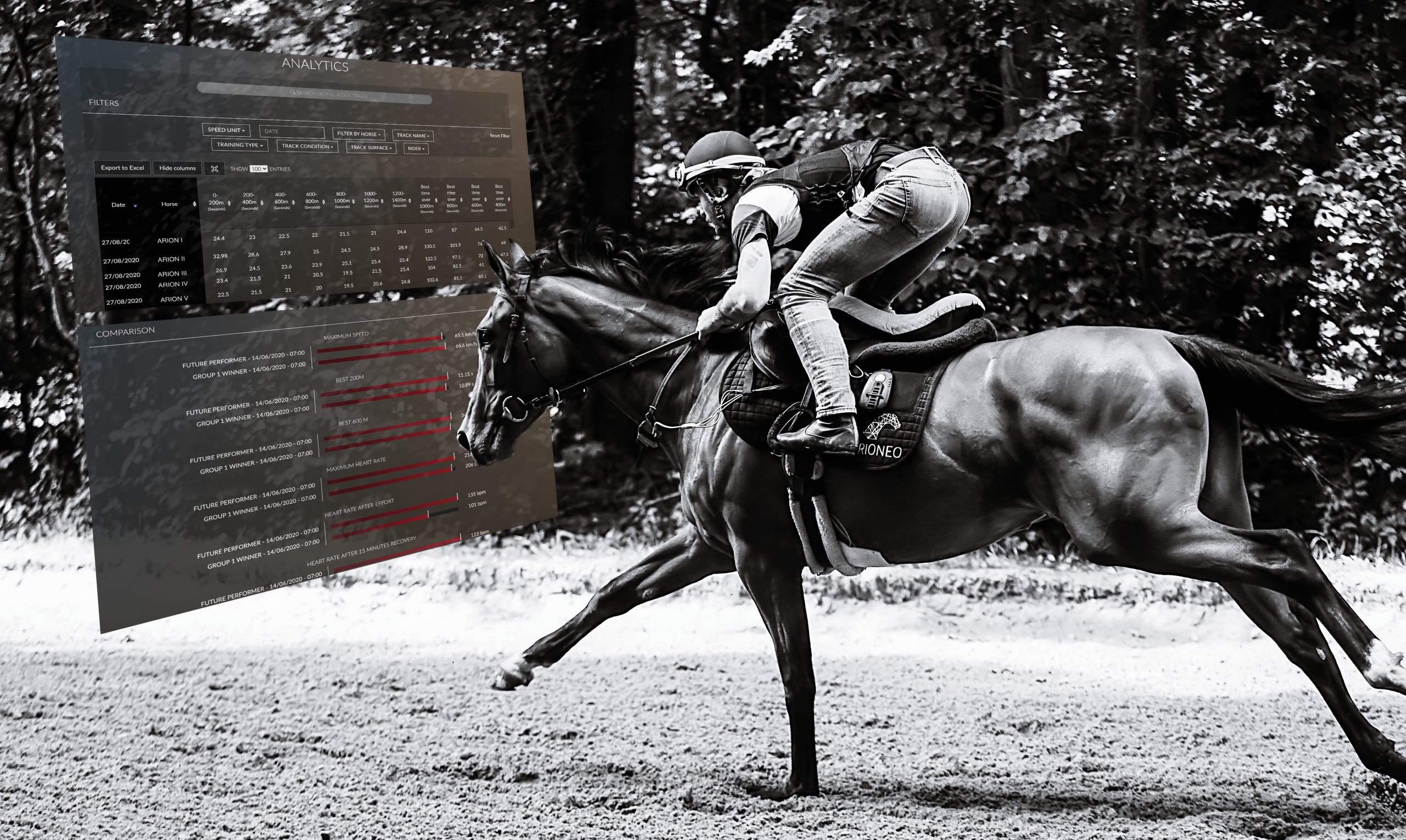 Préparer une course avec des données objectives cheval course données