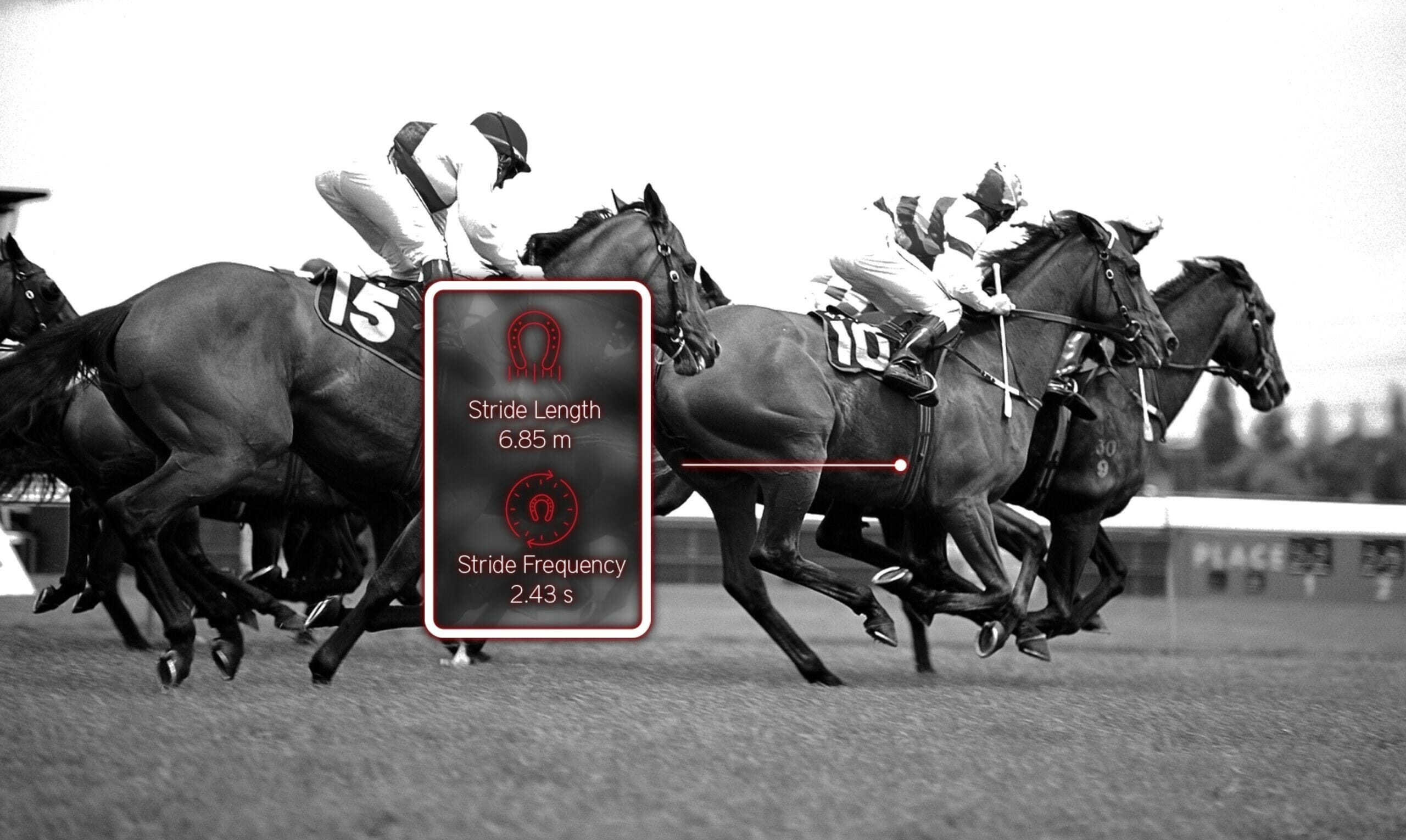 Affiner le choix de la distance grâce à l’analyse du profil locomoteur cheval de course data