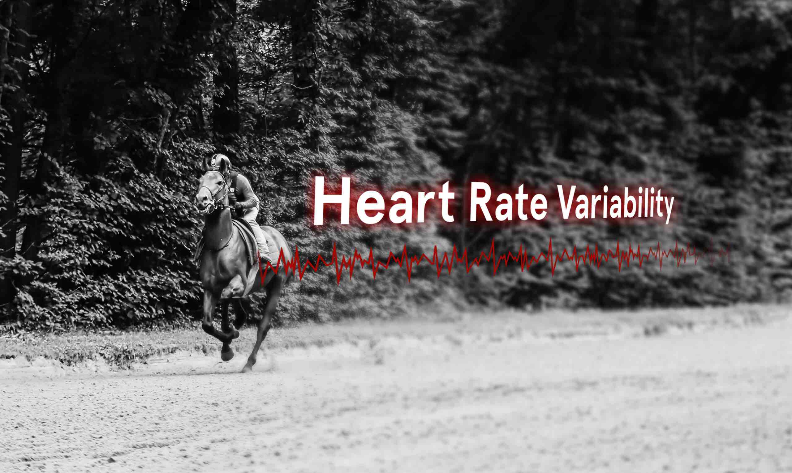 heart rate variability analyser la variabilité cardiaque du cheval de course