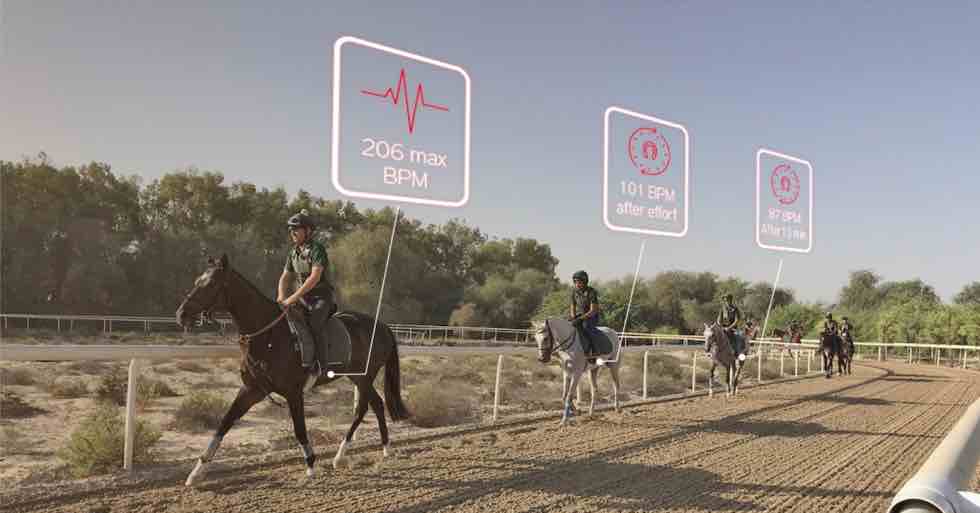 Screen-fb-980x513 chevaux de course à l'entraînement sur une piste en sable
