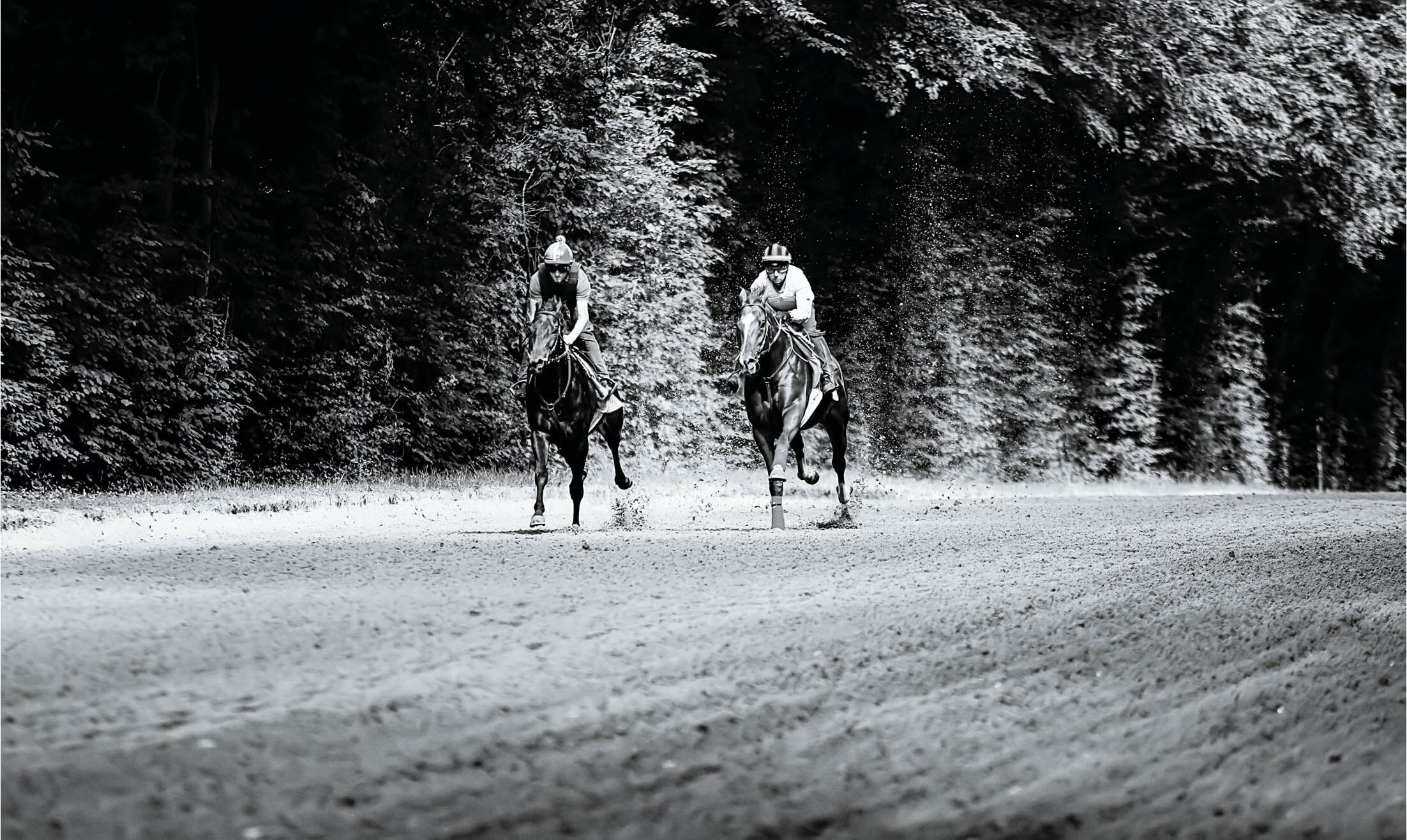 Réaliser un exercice standardisé afin d’évaluer l’état de forme de l’écurie test effort cheval course