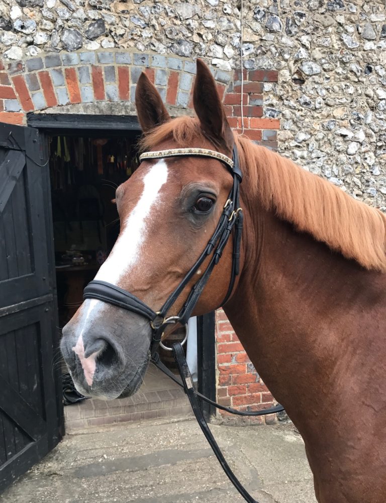 cheval fr