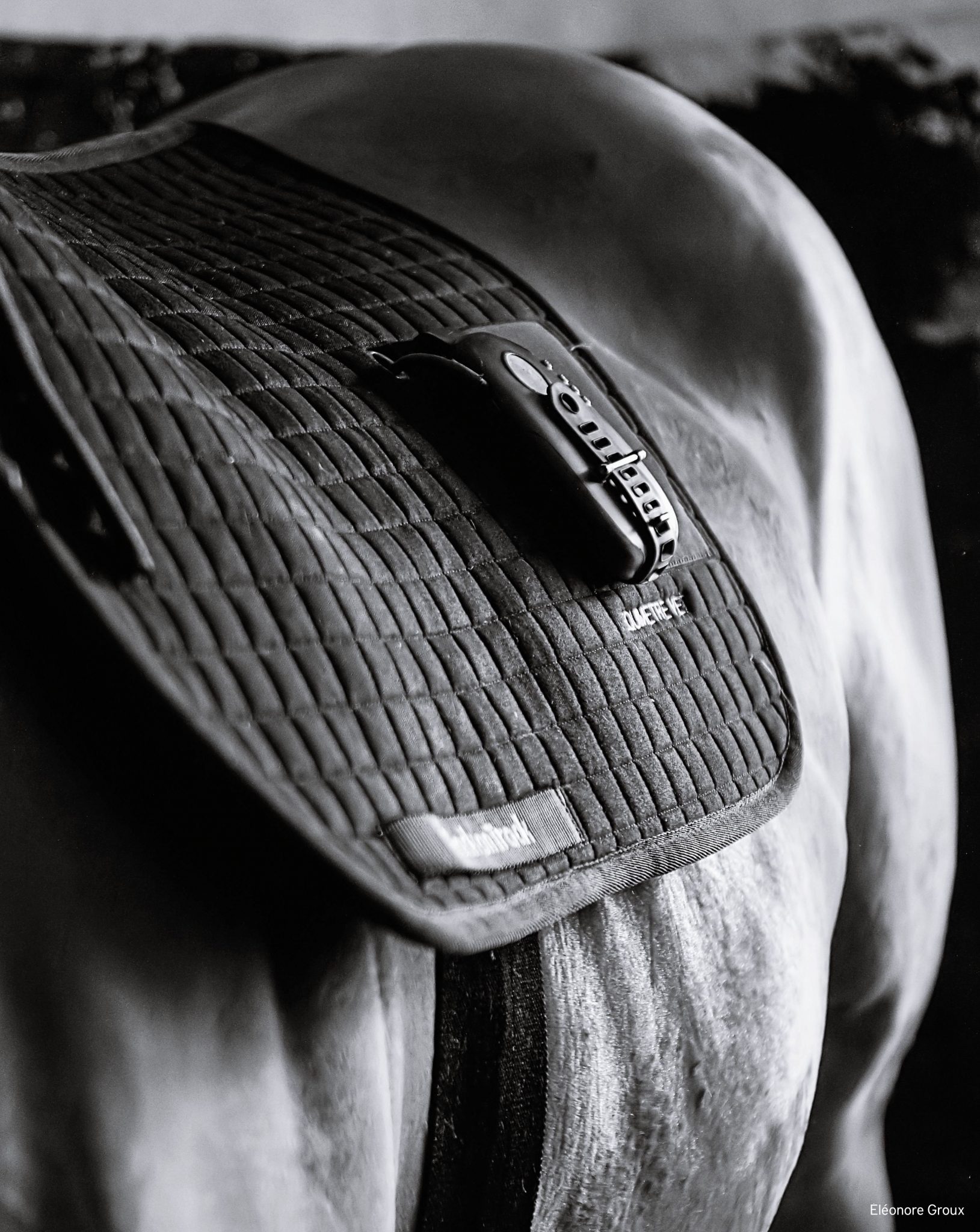 equimetre-vet-saddle-pad equimetre est un outil de communication