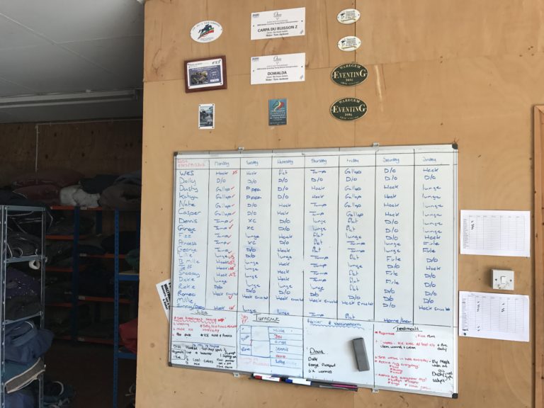 organisation tom fr