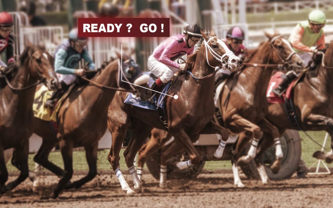 How To Make Sure That My Horse Is Ready To Race Arioneo