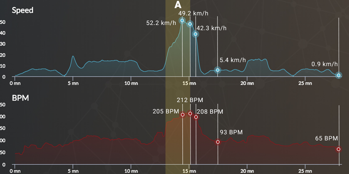 Graph_cardio_v2_H1-A débuter un cheval de course