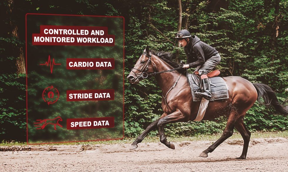 Why quantify the racehorse's training workload? Arioneo