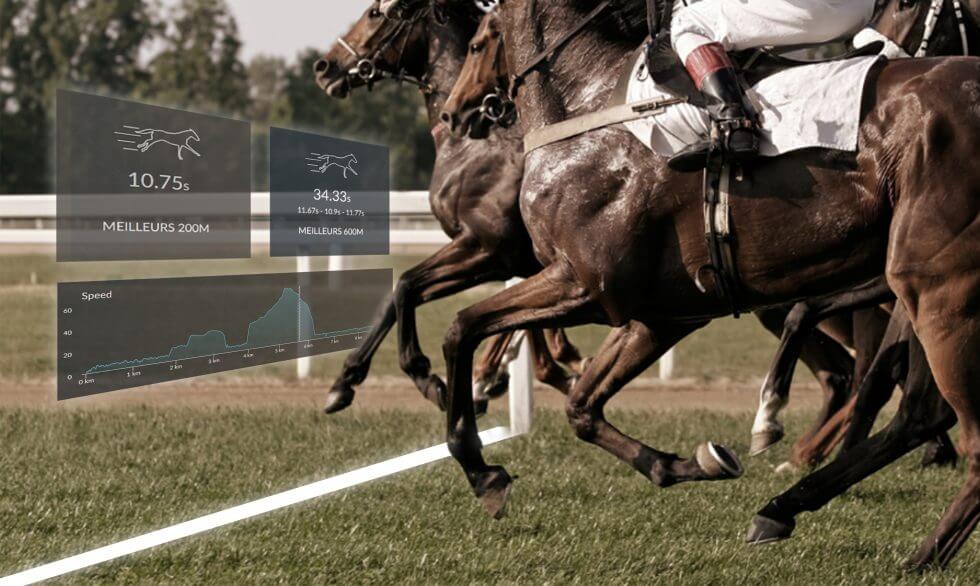 7 reasons to train racehorses with a finish line Arioneo