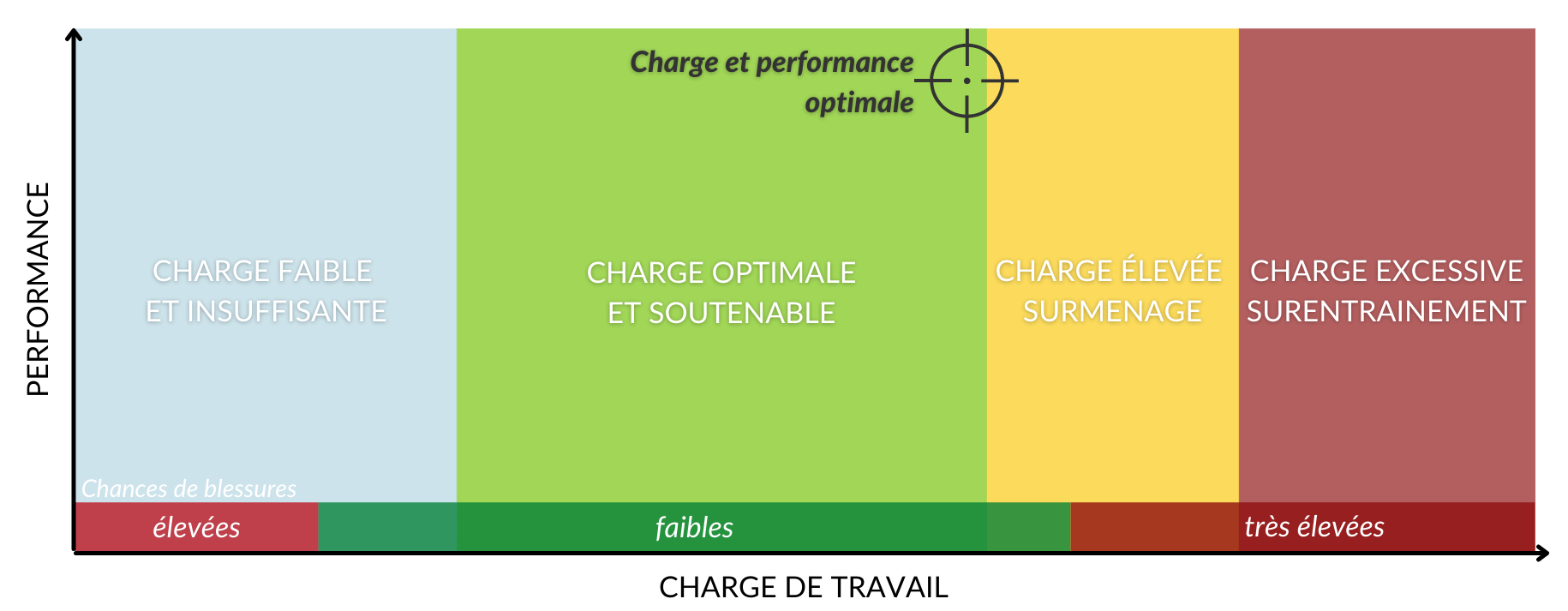charge de travail EN racehorse training workload