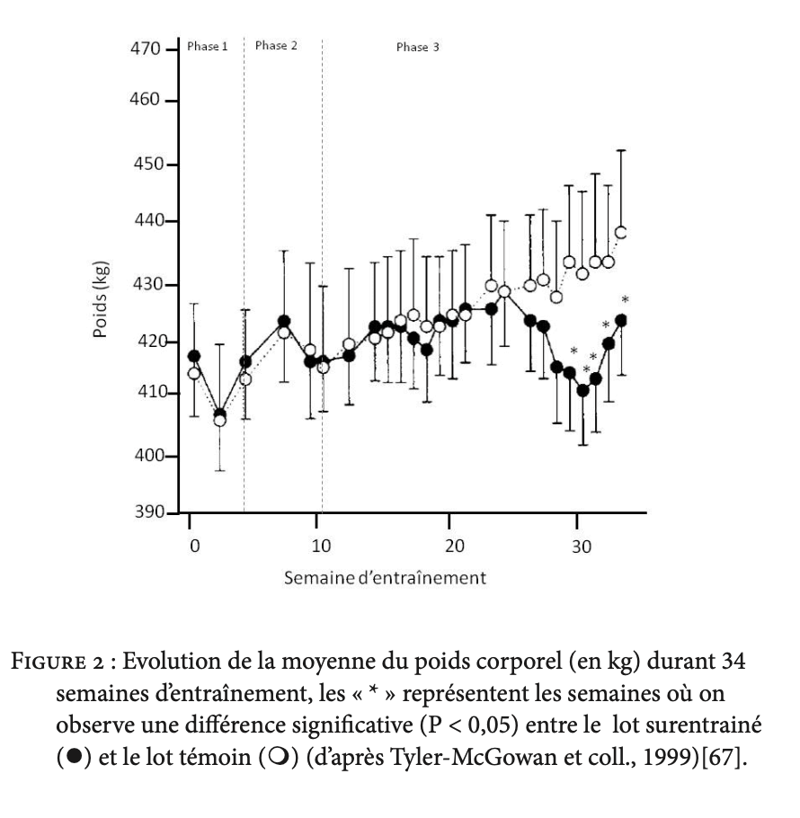 surentraînement sous-entraînement