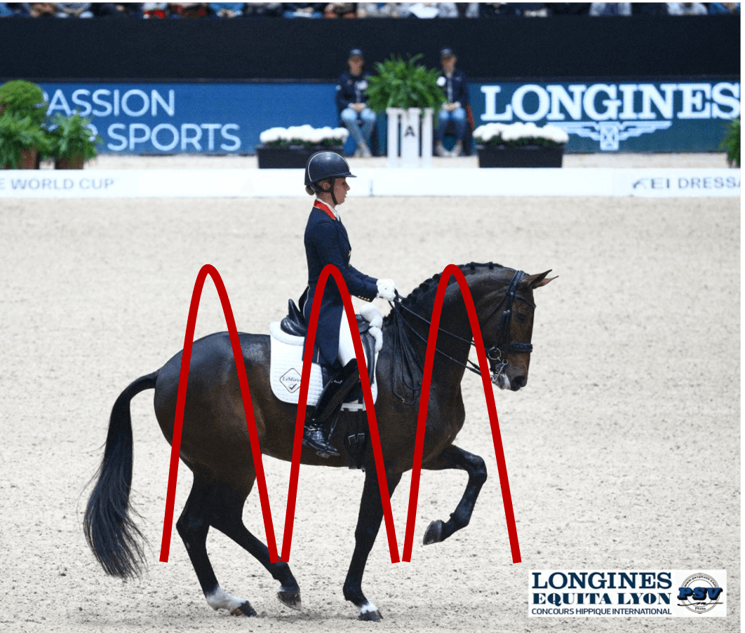 Dressage-1 (1) (1)