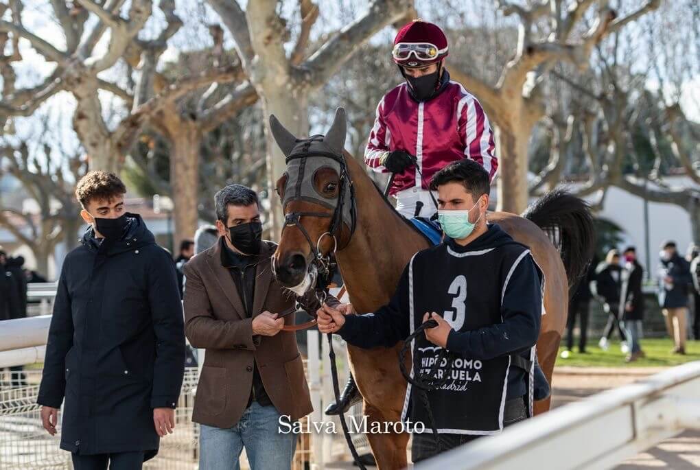 PHOTO-2021-04-16-22-19-27 training racehorses with equimetre