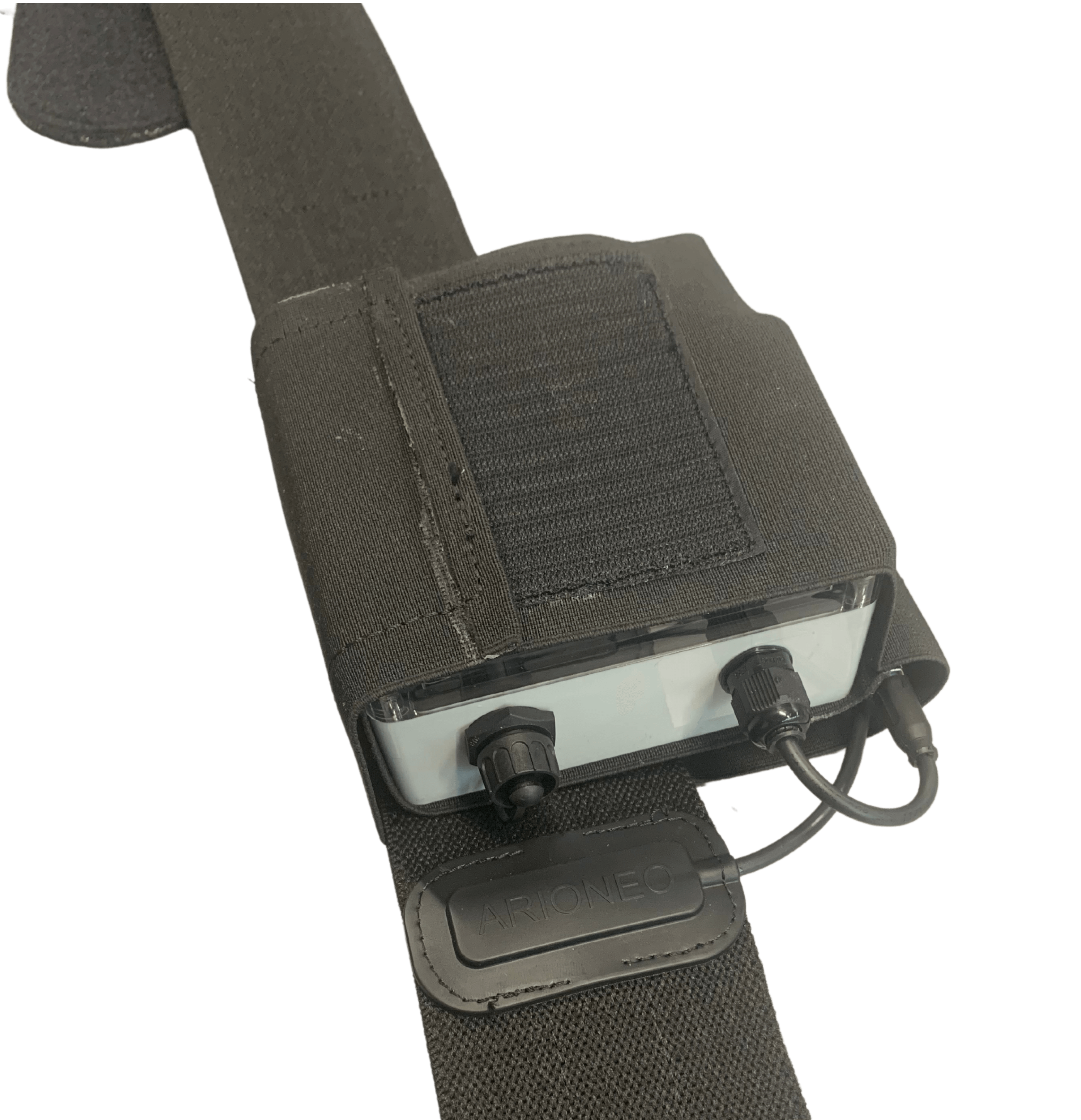 Sangle Equimetre piscine balneotherapy horses