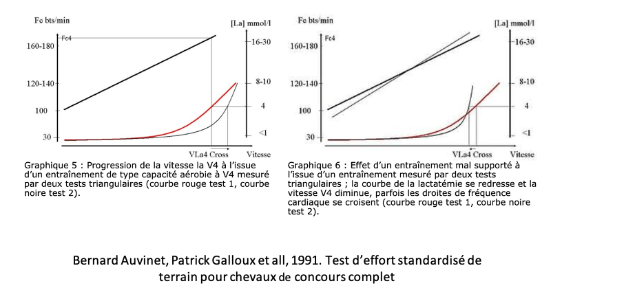 Sans-titre2png-1 standardised test of effort