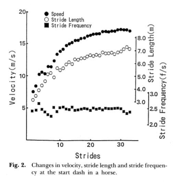 graph-hiro (1)
