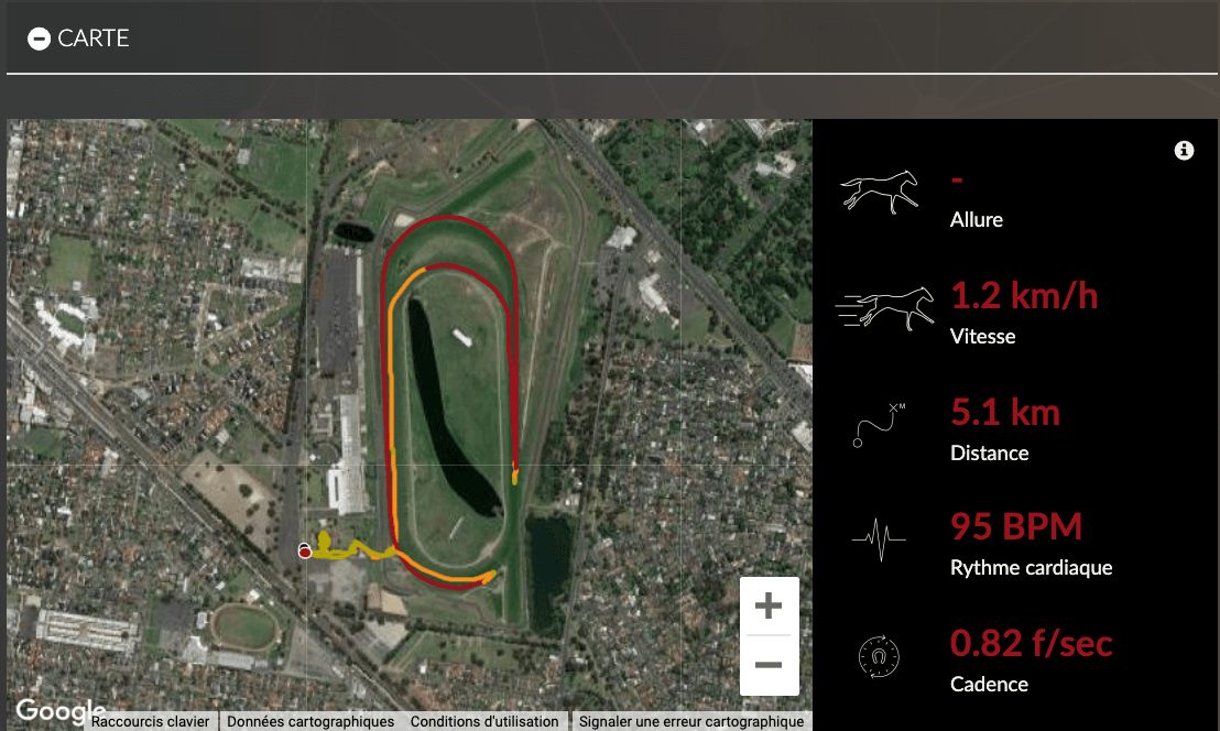 image 2 sir dagonet ancien entrainement (1) individualized training