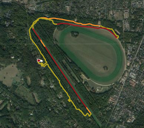 Racehorse VS running athlete